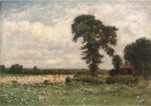 Harvesters in a summer landscape