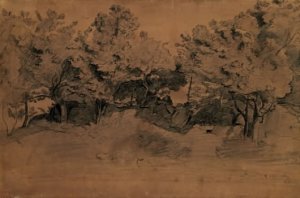 Landscape of Royat, study of trees